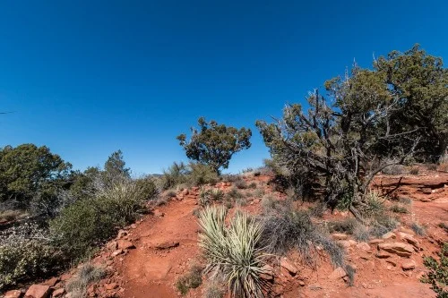 atv rentals cave creek