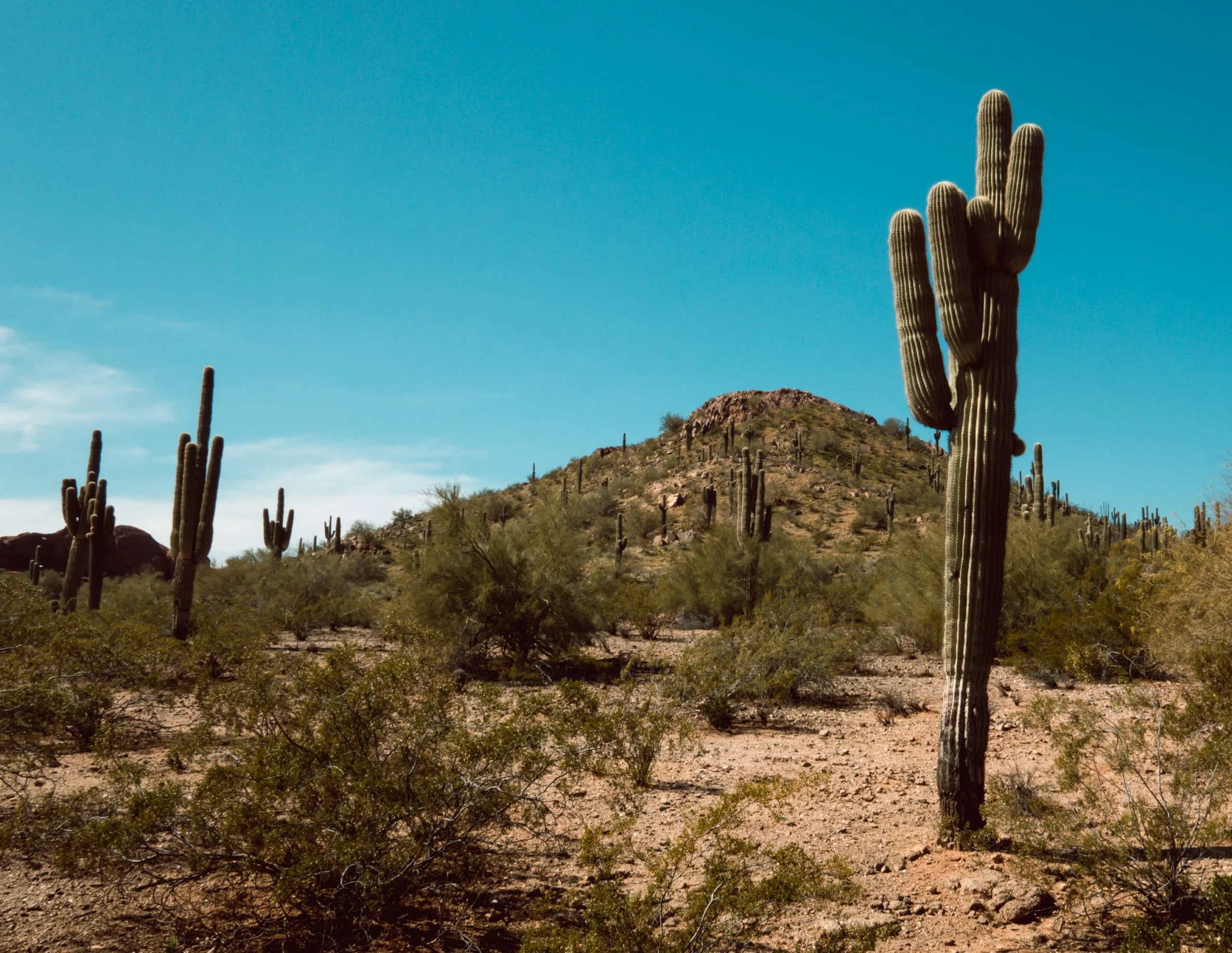 ATV unguided tours ATV rentals in Phoenix