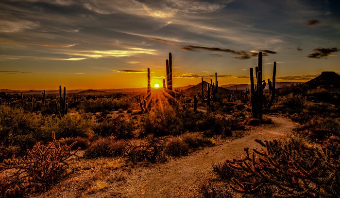 Cave Creek Summer