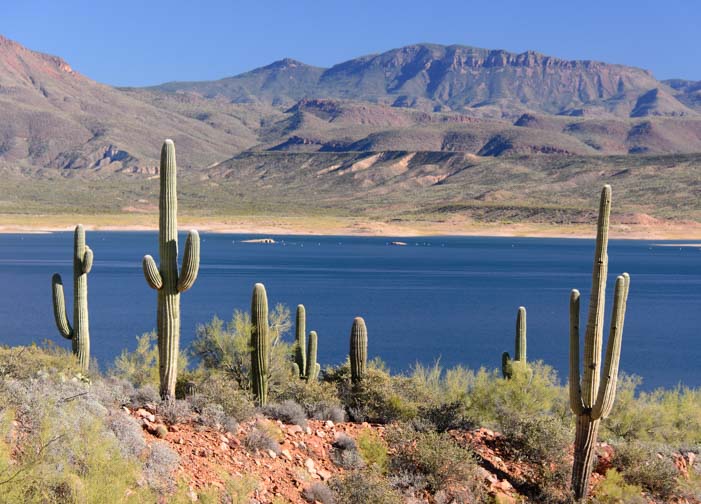 Sonoran desert fall